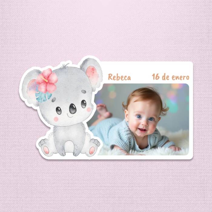 20 70 02 013 Imán de Bebé Koala