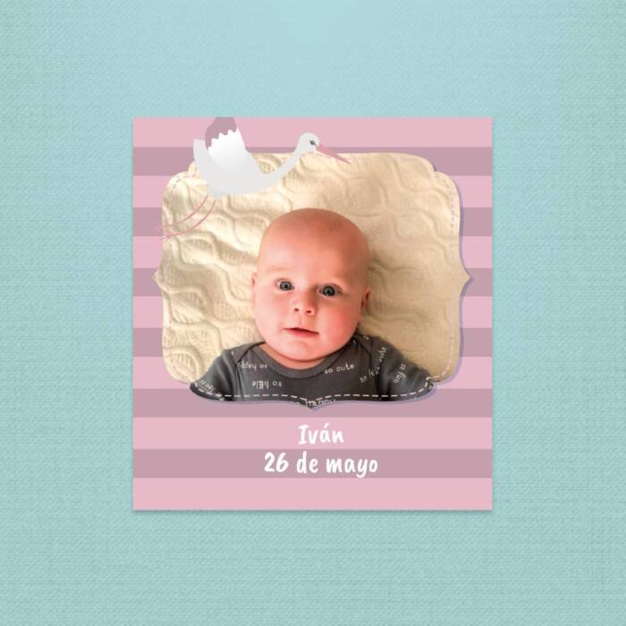 20 70 02 103 Imán de Bebé Cigüeña rosa