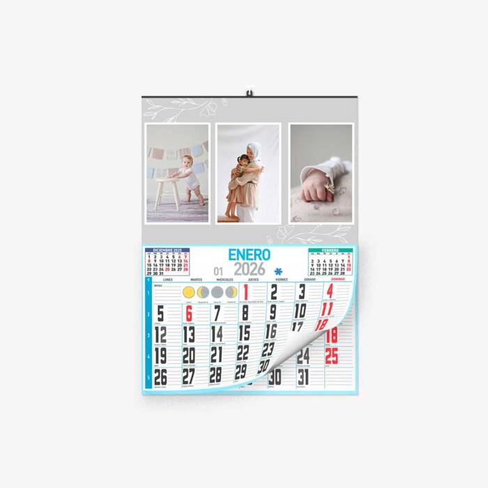 30 30 2301 Calendario Faldilla Ramas Grises
