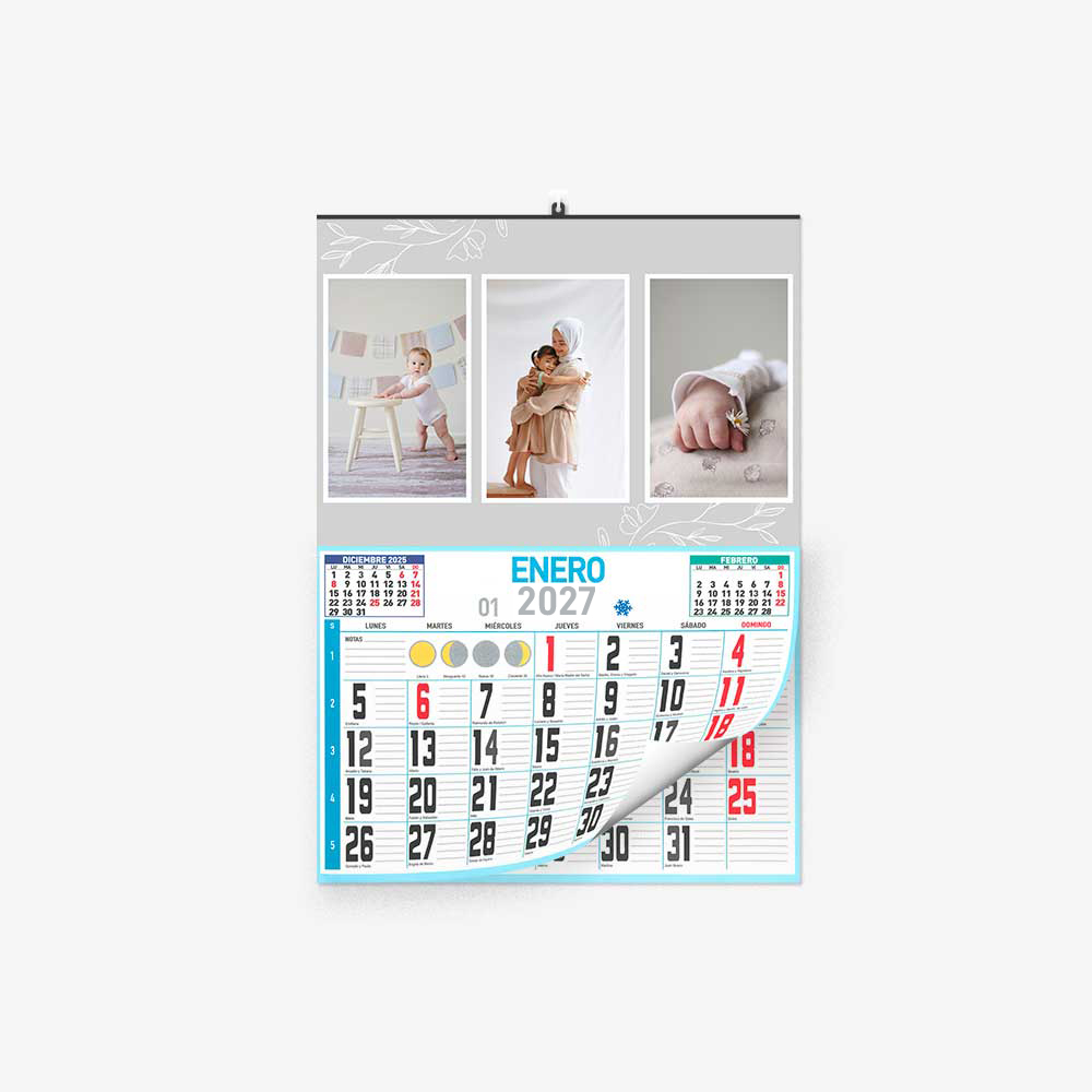 30 30 2301 Calendario Faldilla Ramas Grises