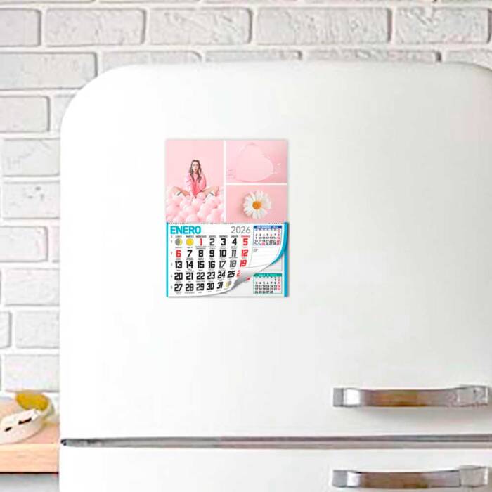 30 36 3501 Calendario con Faldilla Mini Pastel
