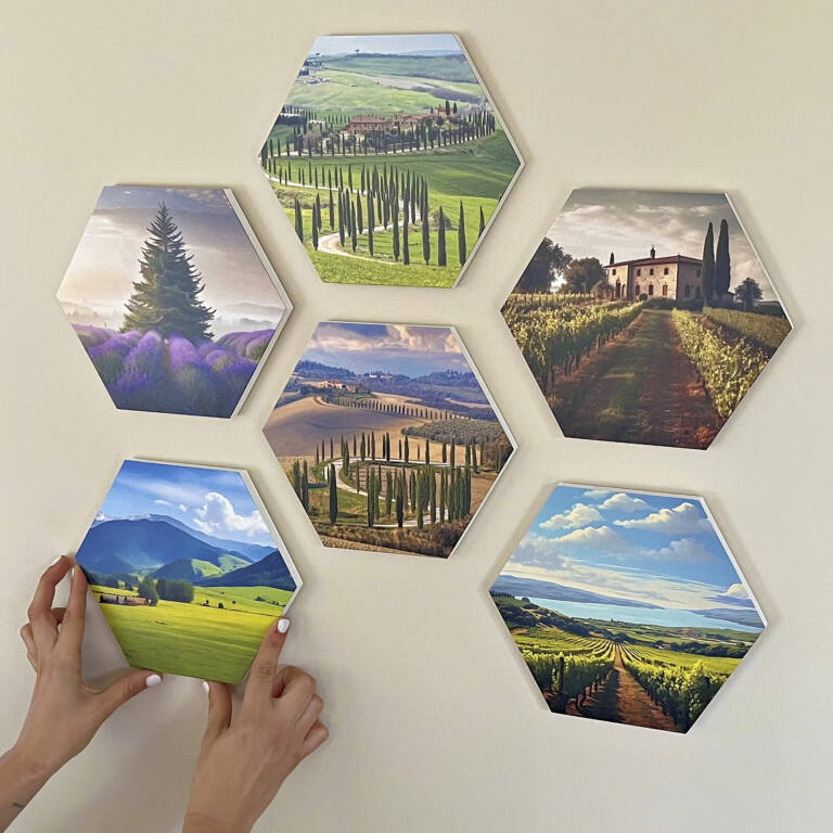 53 36 cuadro mini hexagonal foto real